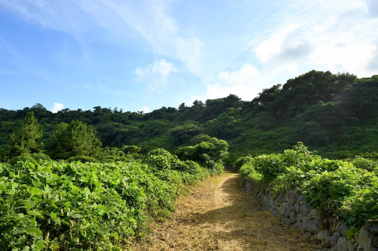 Hidden Cliff Hotel And Nature Seogwipo Exterior foto